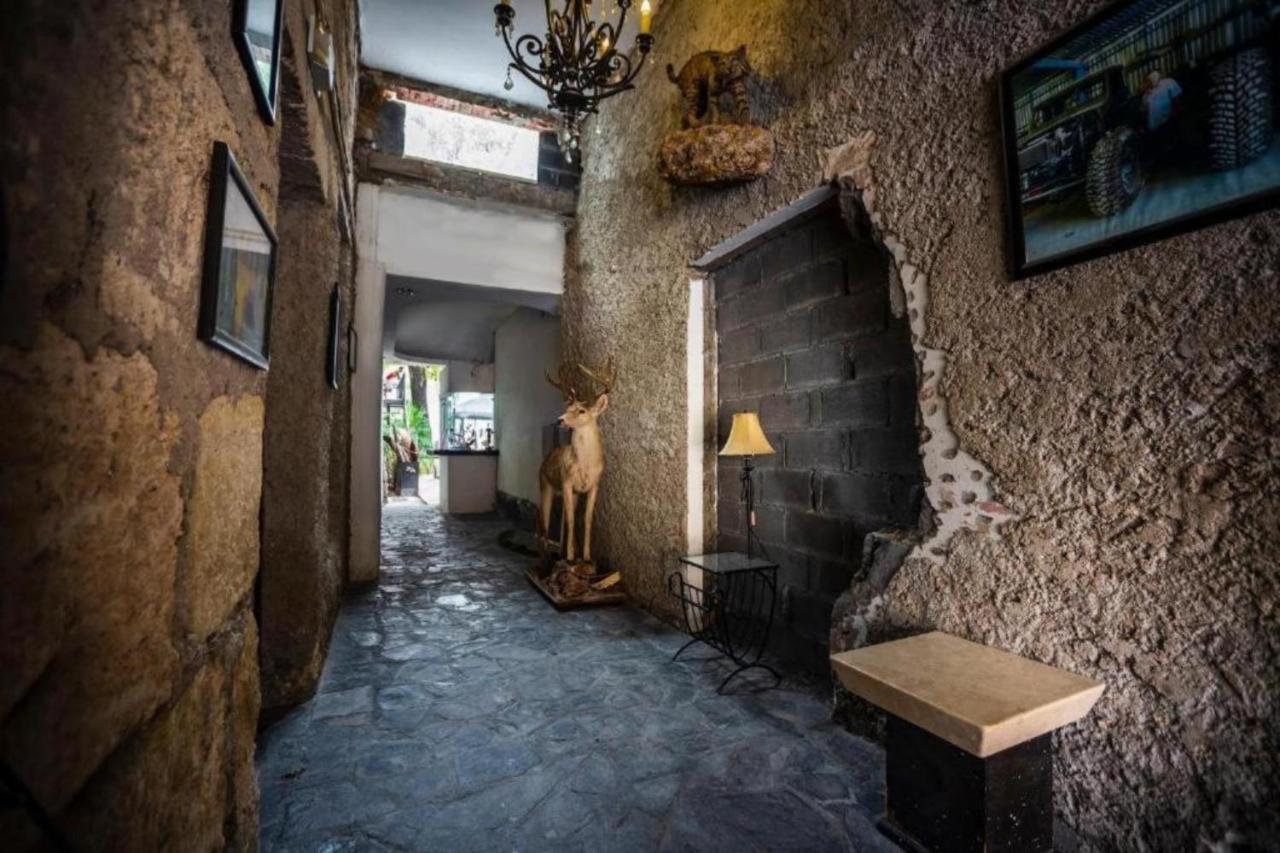 Hotel Alemco Monterrey Extérieur photo